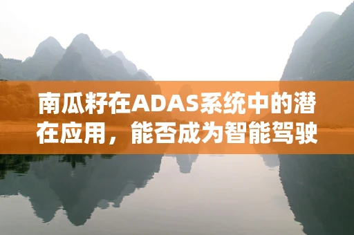 南瓜籽在ADAS系统中的潜在应用，能否成为智能驾驶的‘小秘密’？