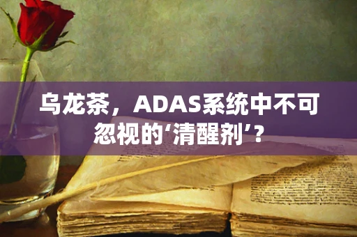 乌龙茶，ADAS系统中不可忽视的‘清醒剂’？