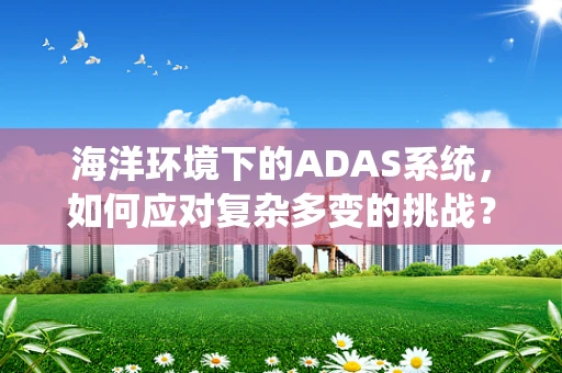 海洋环境下的ADAS系统，如何应对复杂多变的挑战？