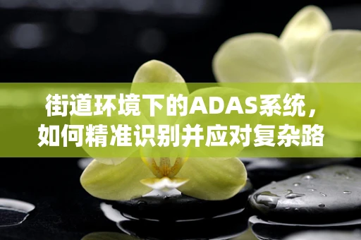 街道环境下的ADAS系统，如何精准识别并应对复杂路况？