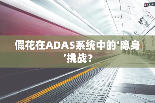 假花在ADAS系统中的‘隐身’挑战？