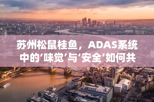 苏州松鼠桂鱼，ADAS系统中的‘味觉’与‘安全’如何共舞？