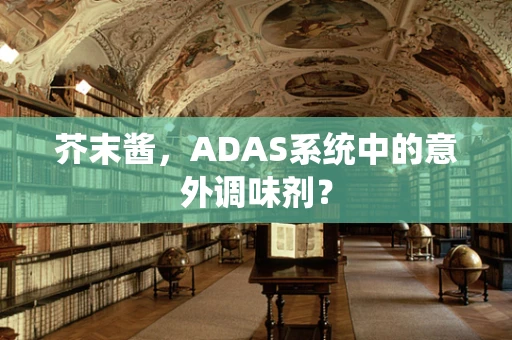 芥末酱，ADAS系统中的意外调味剂？