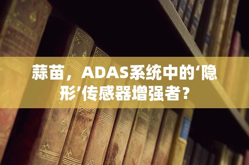 蒜苗，ADAS系统中的‘隐形’传感器增强者？
