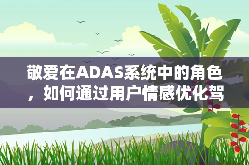 敬爱在ADAS系统中的角色，如何通过用户情感优化驾驶体验？