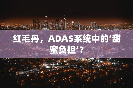 红毛丹，ADAS系统中的‘甜蜜负担’？
