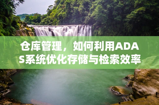仓库管理，如何利用ADAS系统优化存储与检索效率？
