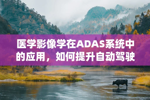 医学影像学在ADAS系统中的应用，如何提升自动驾驶安全？