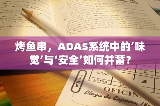 烤鱼串，ADAS系统中的‘味觉’与‘安全’如何并蓄？