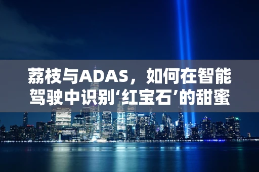 荔枝与ADAS，如何在智能驾驶中识别‘红宝石’的甜蜜陷阱？
