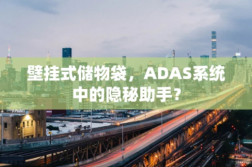 壁挂式储物袋，ADAS系统中的隐秘助手？