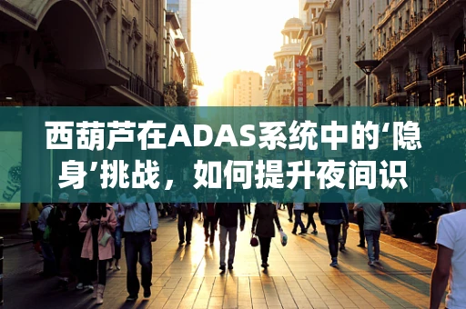 西葫芦在ADAS系统中的‘隐身’挑战，如何提升夜间识别精度？