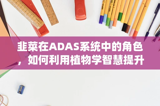 韭菜在ADAS系统中的角色，如何利用植物学智慧提升智能驾驶安全？