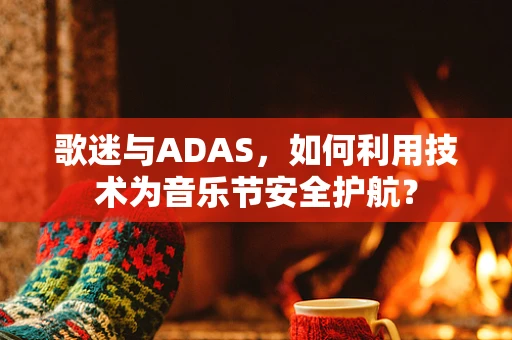 歌迷与ADAS，如何利用技术为音乐节安全护航？