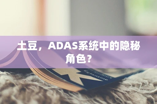 土豆，ADAS系统中的隐秘角色？