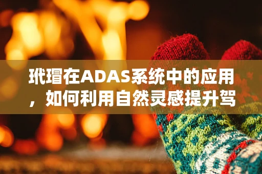 玳瑁在ADAS系统中的应用，如何利用自然灵感提升驾驶安全？