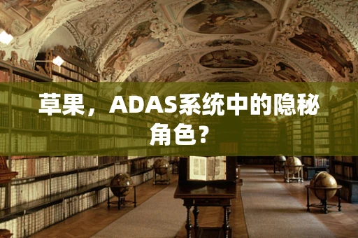草果，ADAS系统中的隐秘角色？