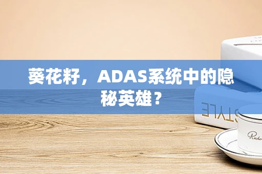 葵花籽，ADAS系统中的隐秘英雄？