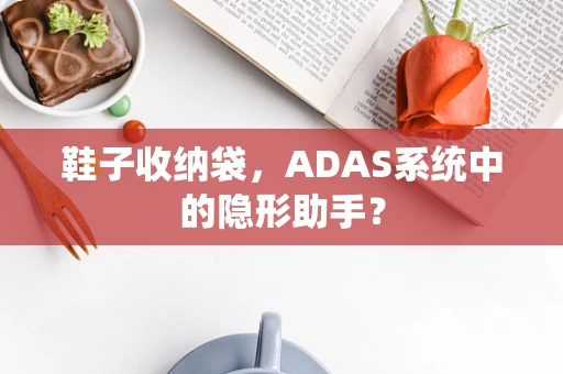 鞋子收纳袋，ADAS系统中的隐形助手？