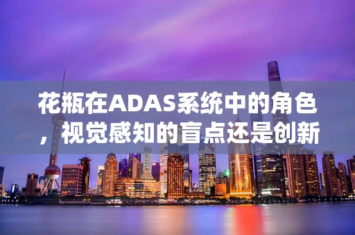 花瓶在ADAS系统中的角色，视觉感知的盲点还是创新应用的契机？