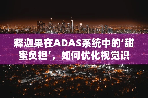 释迦果在ADAS系统中的‘甜蜜负担’，如何优化视觉识别精度？