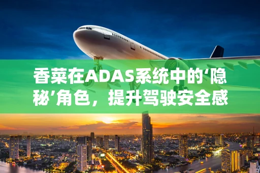 香菜在ADAS系统中的‘隐秘’角色，提升驾驶安全感的‘香’味剂？