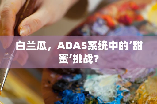 白兰瓜，ADAS系统中的‘甜蜜’挑战？