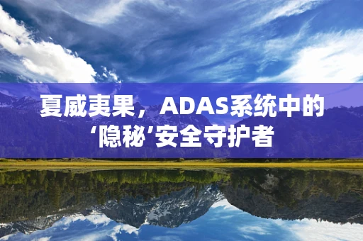 夏威夷果，ADAS系统中的‘隐秘’安全守护者