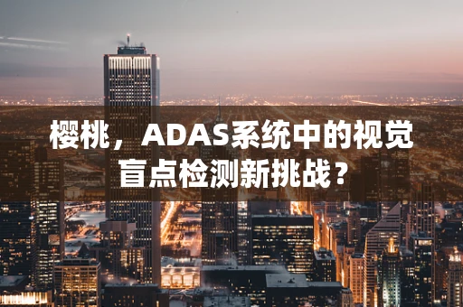 樱桃，ADAS系统中的视觉盲点检测新挑战？