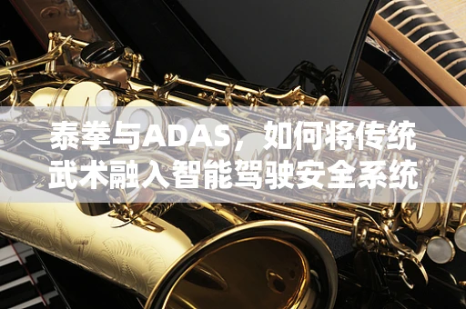 泰拳与ADAS，如何将传统武术融入智能驾驶安全系统？
