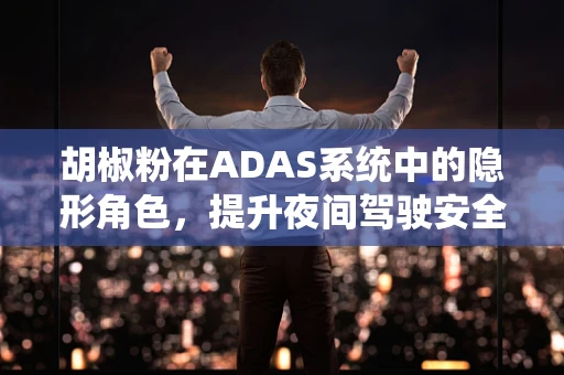 胡椒粉在ADAS系统中的隐形角色，提升夜间驾驶安全性的意外之举？