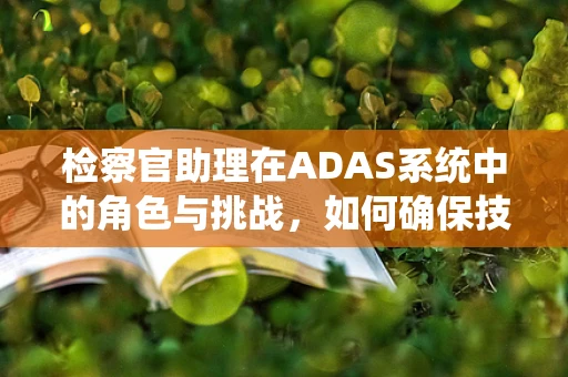 检察官助理在ADAS系统中的角色与挑战，如何确保技术正义？