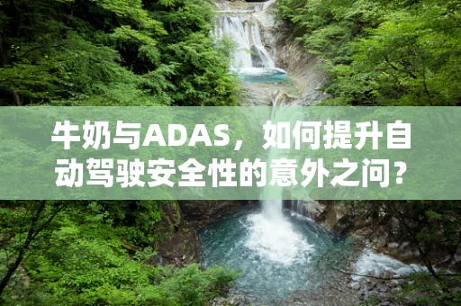 牛奶与ADAS，如何提升自动驾驶安全性的意外之问？