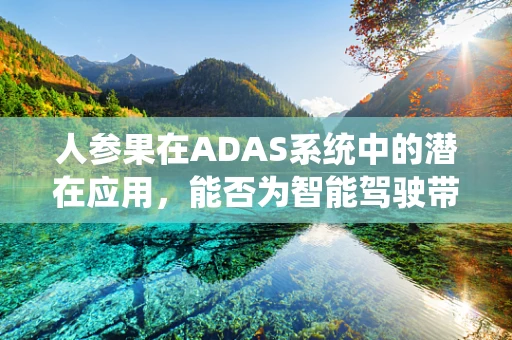 人参果在ADAS系统中的潜在应用，能否为智能驾驶带来‘长寿’的智慧？