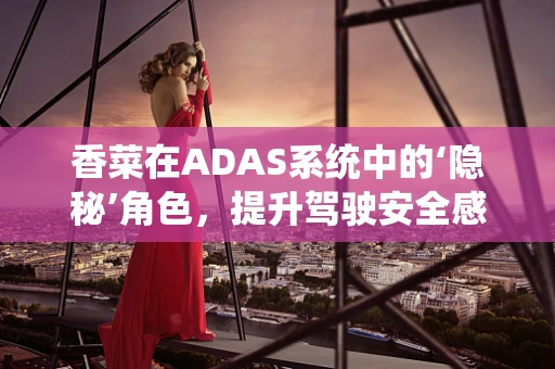 香菜在ADAS系统中的‘隐秘’角色，提升驾驶安全感的奇妙香料？