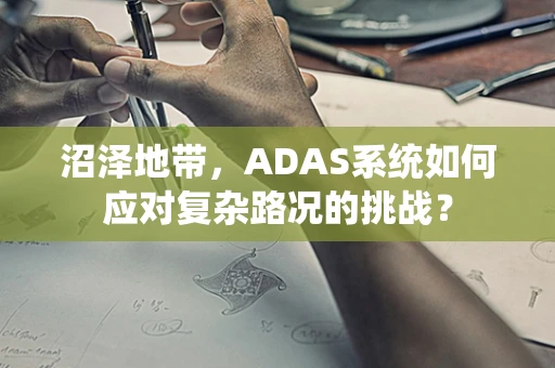 沼泽地带，ADAS系统如何应对复杂路况的挑战？