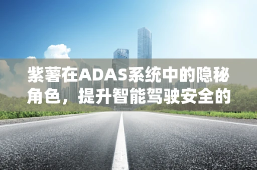 紫薯在ADAS系统中的隐秘角色，提升智能驾驶安全的新契机？