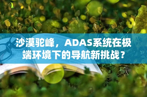 沙漠驼峰，ADAS系统在极端环境下的导航新挑战？