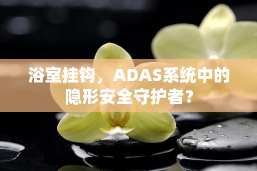 浴室挂钩，ADAS系统中的隐形安全守护者？
