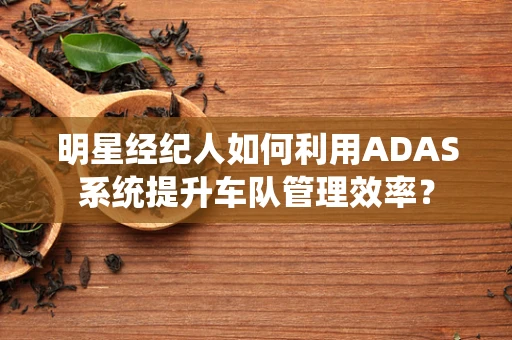 明星经纪人如何利用ADAS系统提升车队管理效率？
