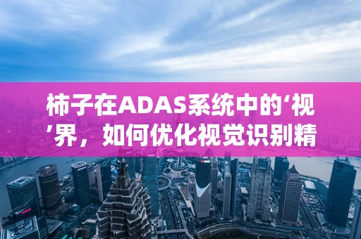 柿子在ADAS系统中的‘视’界，如何优化视觉识别精度？