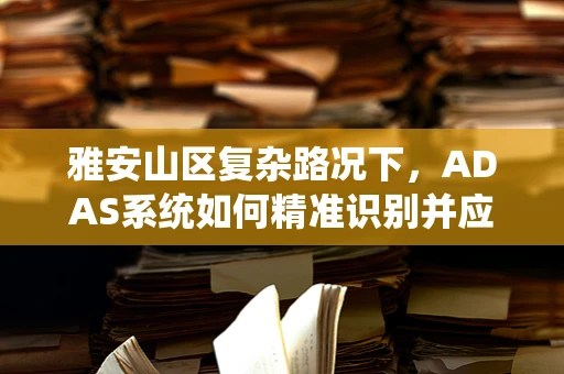 雅安山区复杂路况下，ADAS系统如何精准识别并应对？
