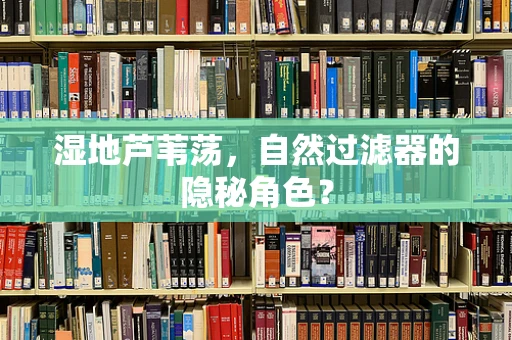湿地芦苇荡，自然过滤器的隐秘角色？