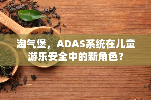 淘气堡，ADAS系统在儿童游乐安全中的新角色？