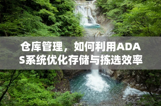 仓库管理，如何利用ADAS系统优化存储与拣选效率？