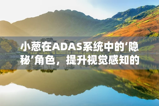 小葱在ADAS系统中的‘隐秘’角色，提升视觉感知的微妙力量