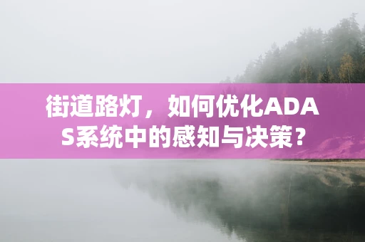 街道路灯，如何优化ADAS系统中的感知与决策？