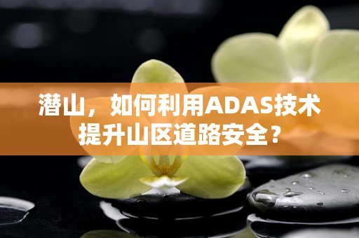 潜山，如何利用ADAS技术提升山区道路安全？