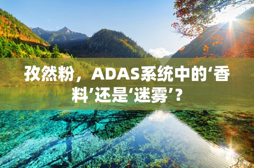 孜然粉，ADAS系统中的‘香料’还是‘迷雾’？
