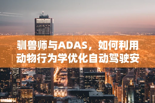 驯兽师与ADAS，如何利用动物行为学优化自动驾驶安全系统？